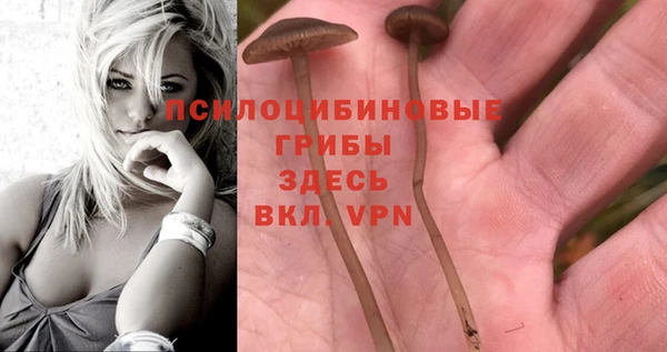 дурь Новокубанск