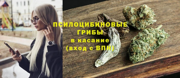 Альфа ПВП Новозыбков