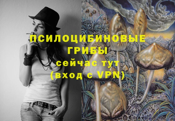 мдпв Нефтекумск