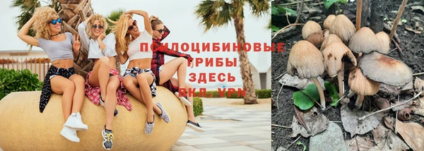 дурь Новокубанск