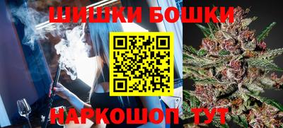 гашик Будённовск