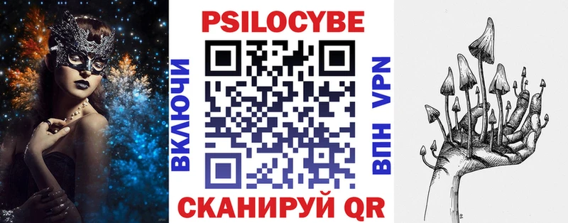 Галлюциногенные грибы Psilocybe  Богородицк 