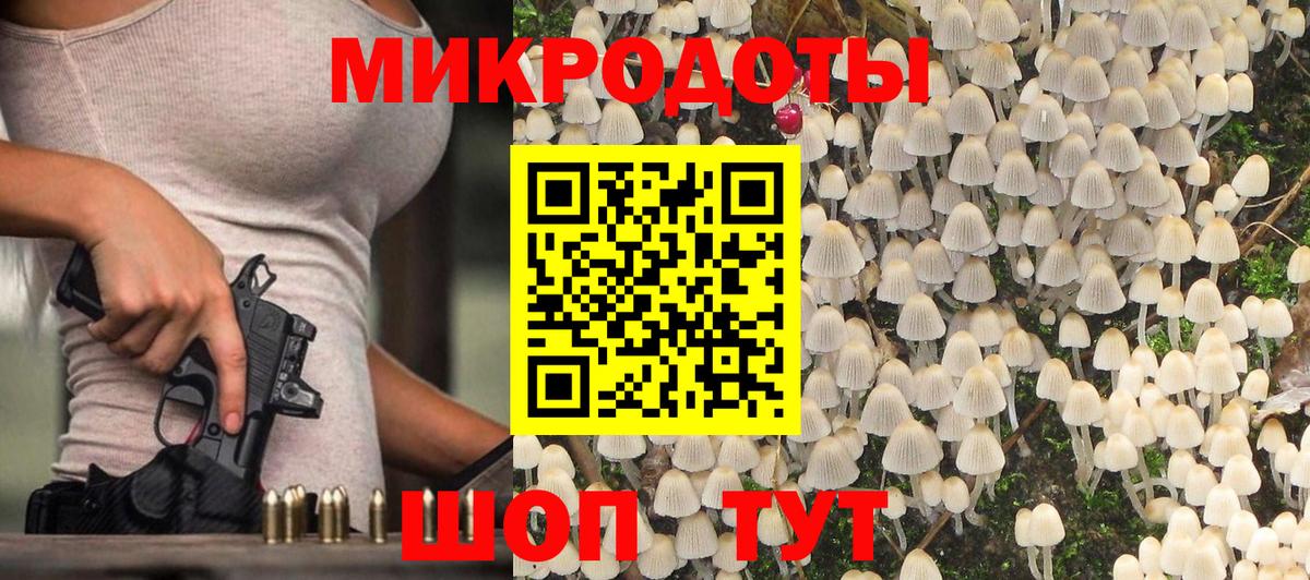 Галлюциногенные грибы Psilocybe Богородицк