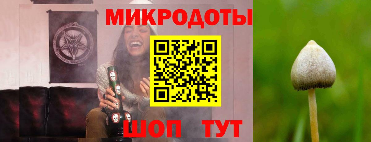 Псилоцибиновые грибы GOLDEN TEACHER  Богородицк  Псилоцибиновые грибы Cubensis 