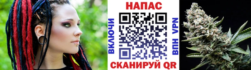 Каннабис SATIVA & INDICA купить наркоту Богородицк